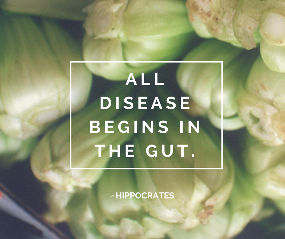 Hippocrates All-Disease-begins-in-the-gut.
