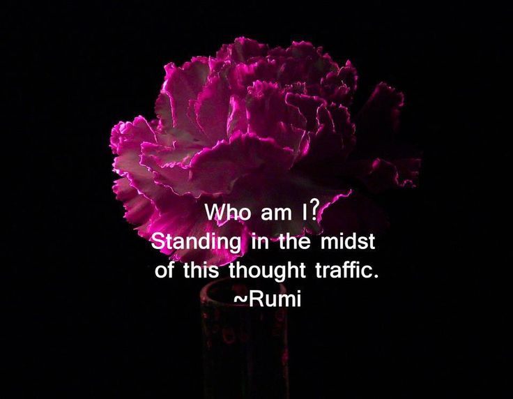 Rumi Who Am I?